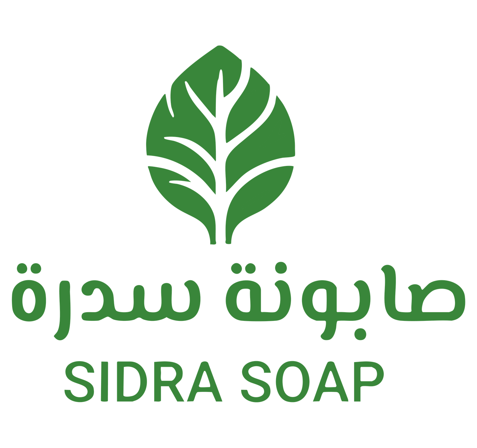 صابونة سدرة