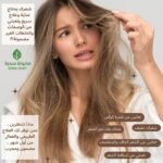 خلطة المشاط الفاخرة - الصورة 2
